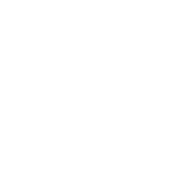 Petrochemical Industry